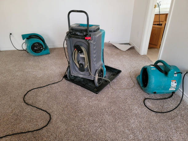 Best Basement water damage restoration  in Temesl Valley, CA