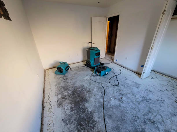 Best Flood restoration services  in Temesl Valley, CA