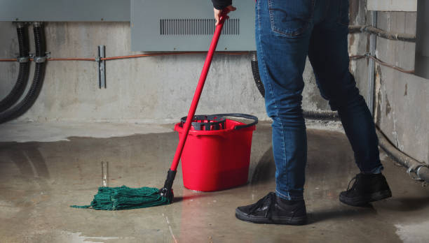 Best Residential water damage restoration  in Temesl Valley, CA